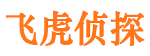 红河市婚外情调查